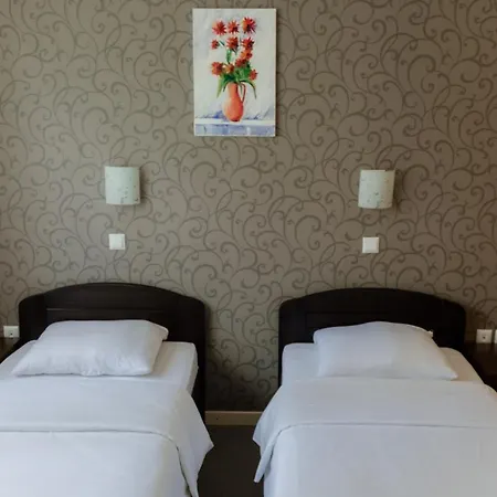 Hotel Drinska Lasta